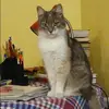 Отзыв от Ирина Петухова